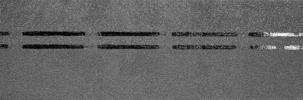 Коньково-карнизная черепица Docke Premium, черника купить в Краснодаре