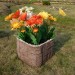 Цветник КАНЬОН купить в Краснодаре